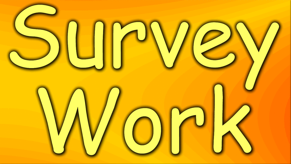 Survey Work